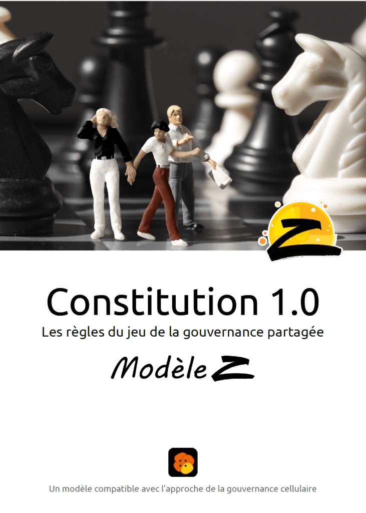 Constitution 1.0 Modèle Z