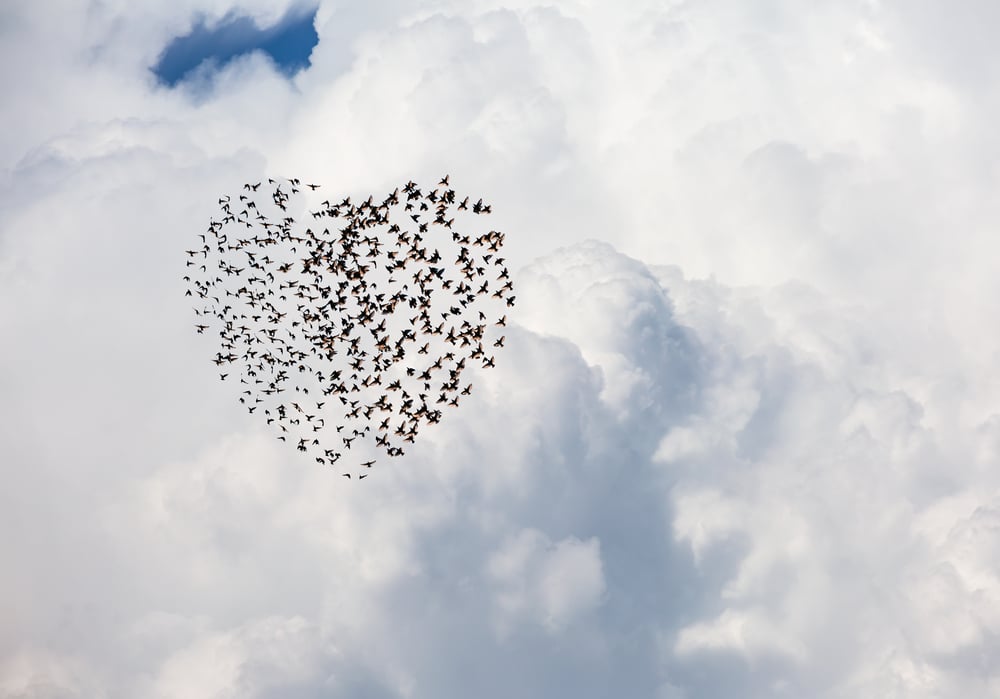 Quelle place pour la relation dans nos organisations ?