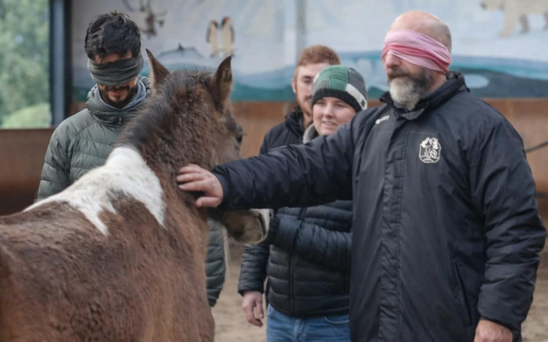Cultiver une dynamique d’équipe mature grâce à l&rsquo;équicoaching