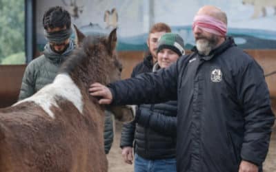 Cultiver une dynamique d’équipe mature grâce à l&rsquo;équicoaching